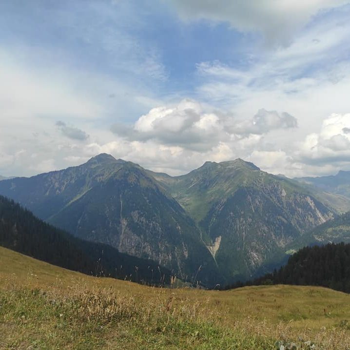 Photo de paysage de montagne en été