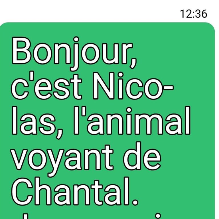 Screenshot d'un SMS disant : Bonjour, c'est Nicolas, l'animal voyant de Chantal